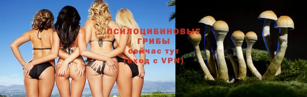 эйфоретик Тобольск
