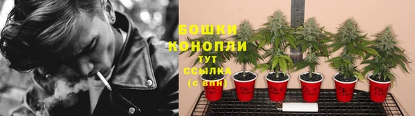 ешки Удомля