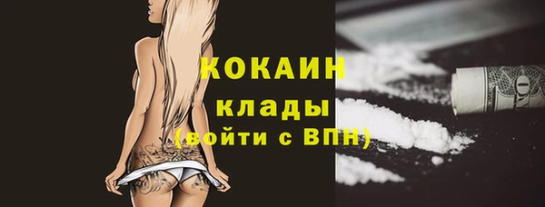 индика Узловая