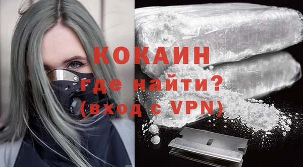 стаф Тында