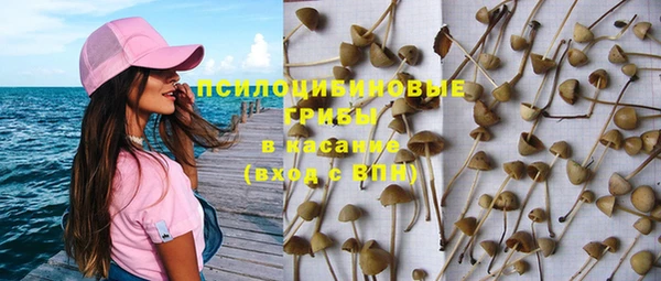 гидропоника Тихвин