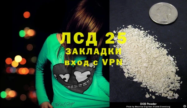 индика Узловая
