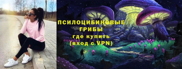 стаф Тында
