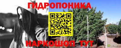 тгк Заволжье