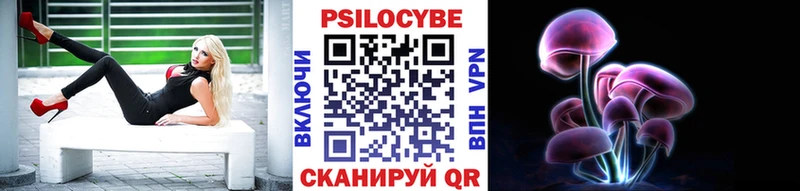 где можно купить   Нижний Тагил  Галлюциногенные грибы Cubensis 